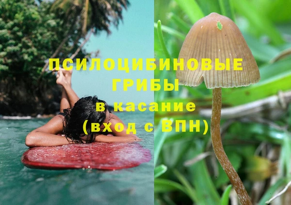 мдпв Лихославль