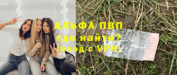 винт Лагань