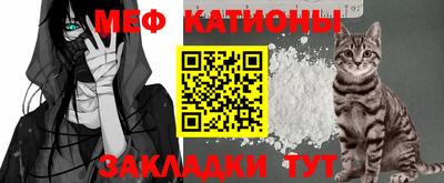 шишки Волгодонск
