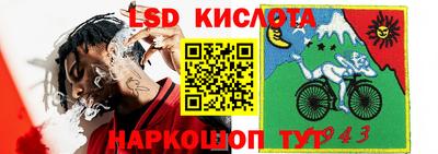 шишки Волгодонск
