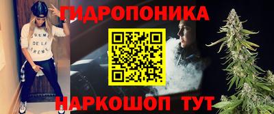 шишки Волгодонск