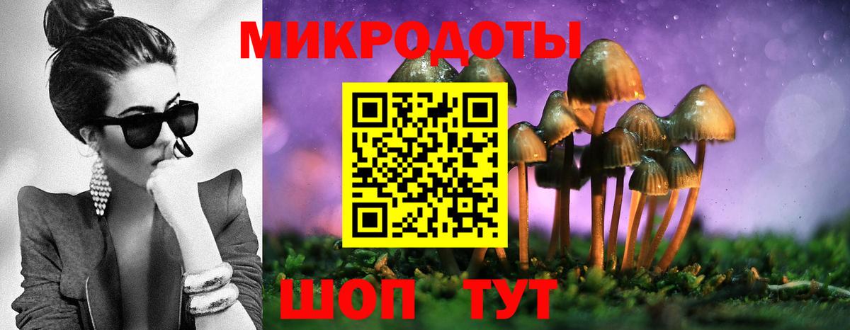 Псилоцибиновые грибы MAGIC MUSHROOMS  Галлюциногенные грибы Psilocybe  Кемерово 