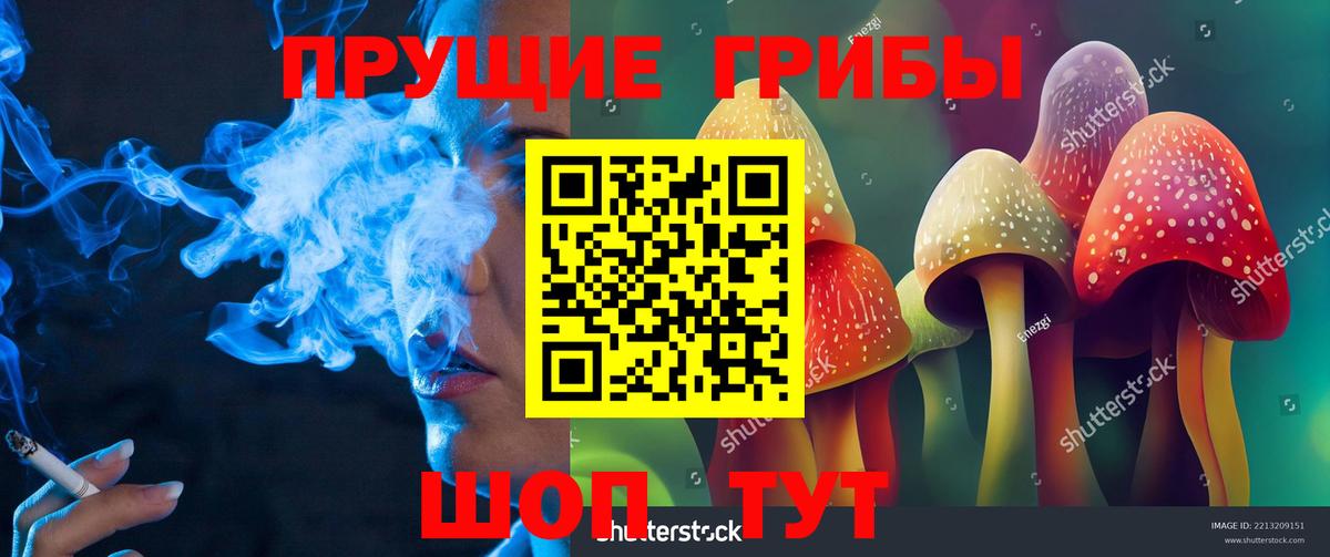 Кемерово  Галлюциногенные грибы Psilocybine cubensis  Вход с VPN  Галлюциногенные грибы мицелий 